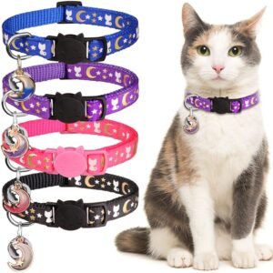 Cat Collar with Bell