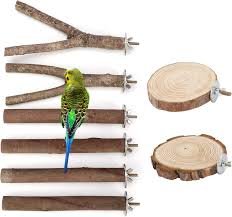 Bird Perch Wooden Stand