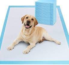 Dog Training Pads - 50 Pack