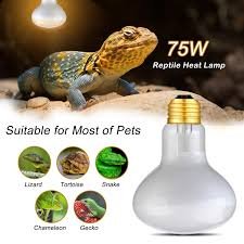 Reptile Heat Lamp - 75W
